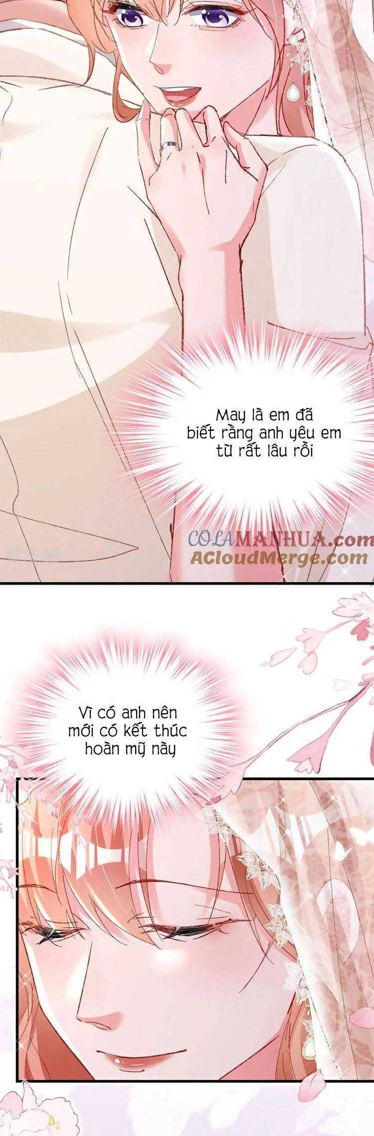 Hôm Nay Từ Chối Lục Tiên Sinh Chưa? Chapter 205 - 27