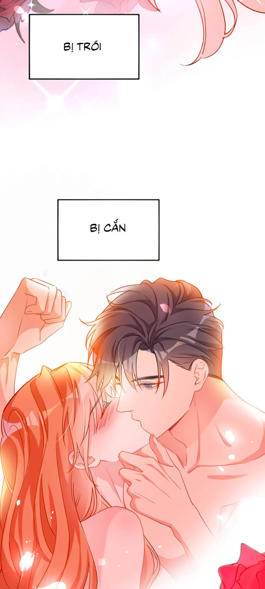 Hôm Nay Từ Chối Lục Tiên Sinh Chưa? Chapter 1 - 13