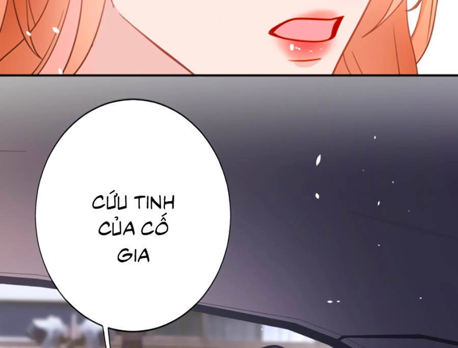 Hôm Nay Từ Chối Lục Tiên Sinh Chưa? Chapter 4 - 21