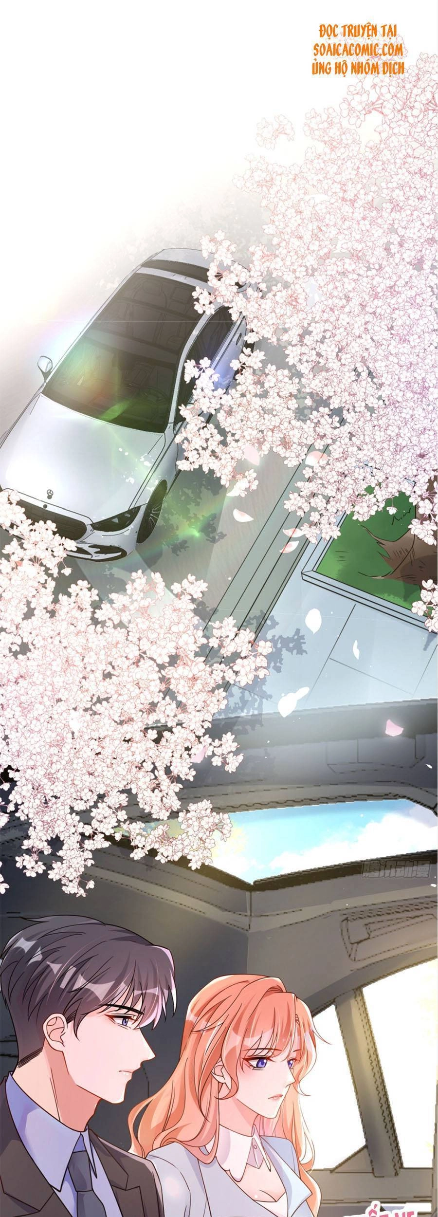 Hôm Nay Từ Chối Lục Tiên Sinh Chưa? Chapter 27 - 12