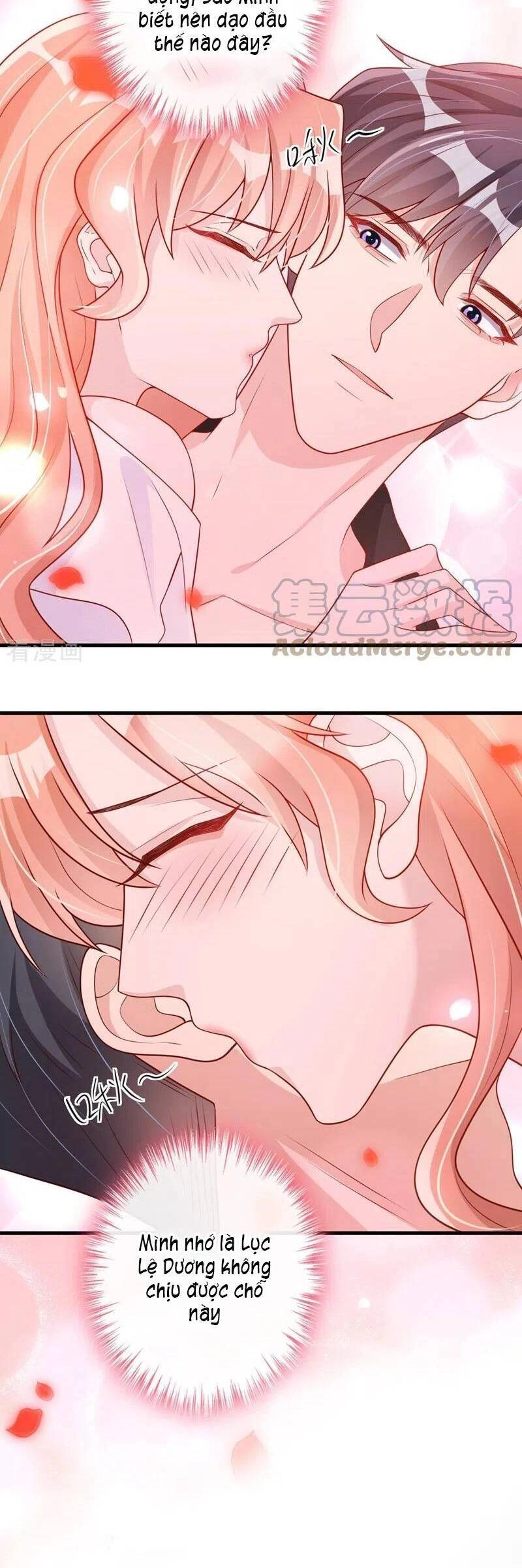 Hôm Nay Từ Chối Lục Tiên Sinh Chưa? Chapter 36 - 7