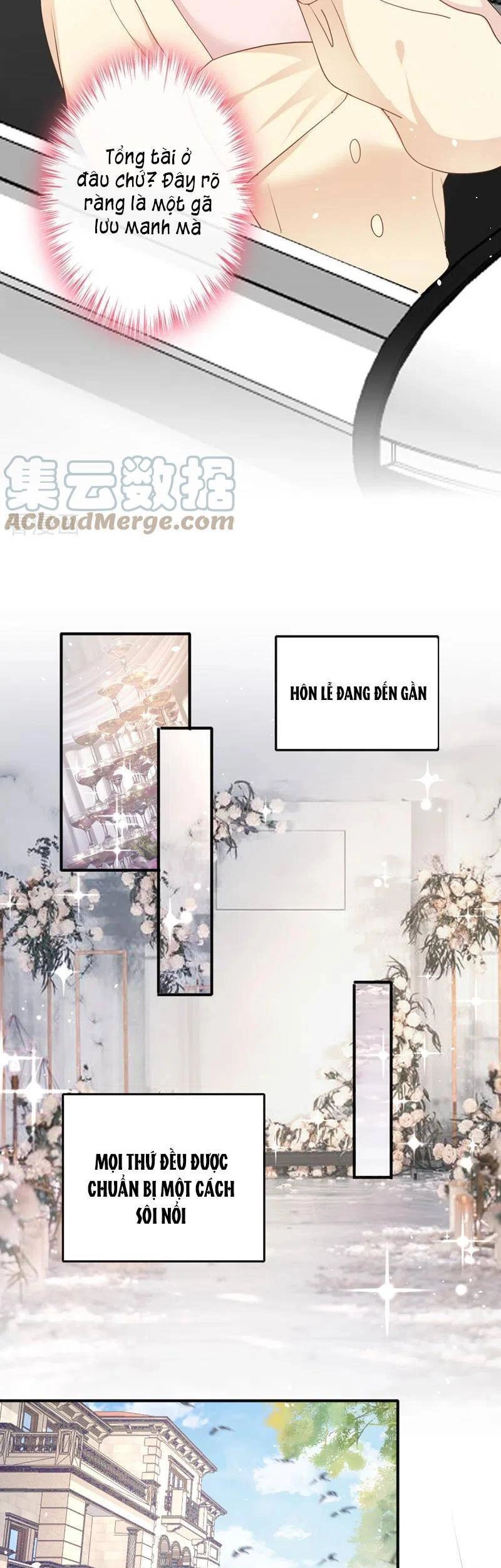 Hôm Nay Từ Chối Lục Tiên Sinh Chưa? Chapter 39 - 16