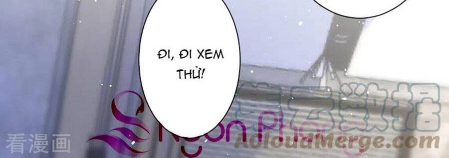 Hôm Nay Từ Chối Lục Tiên Sinh Chưa? Chapter 45 - 3