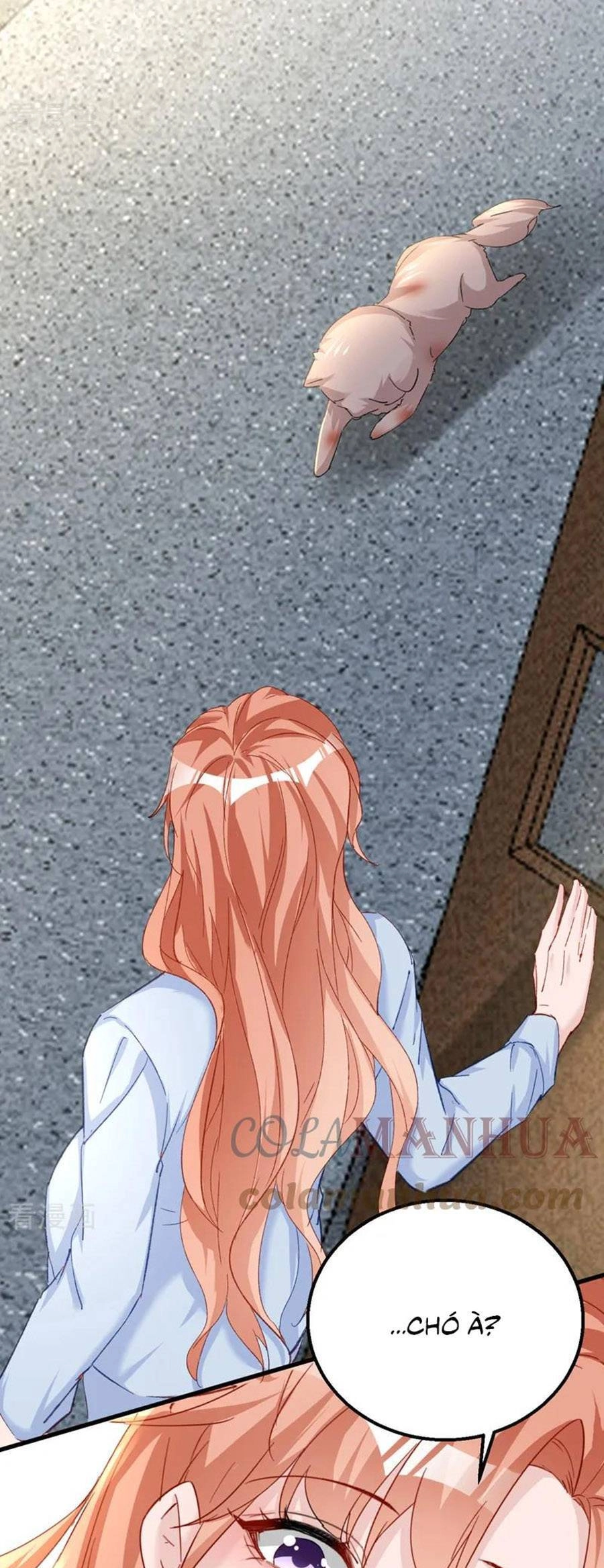 Hôm Nay Từ Chối Lục Tiên Sinh Chưa? Chapter 142 - 23