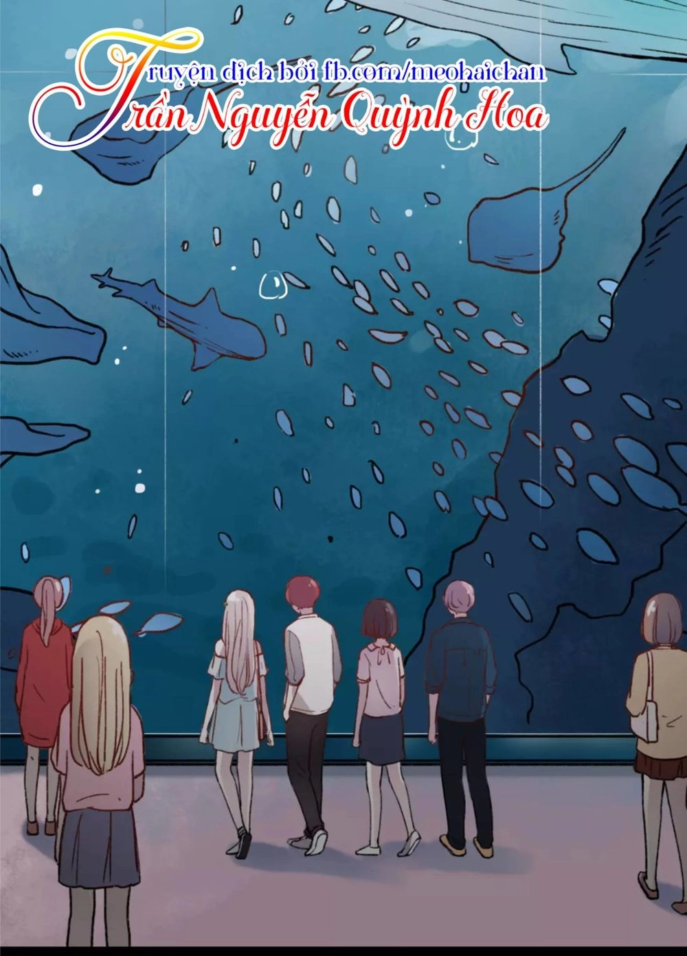 Cậu Đã Từng Yêu Tôi Chapter 5 - 40