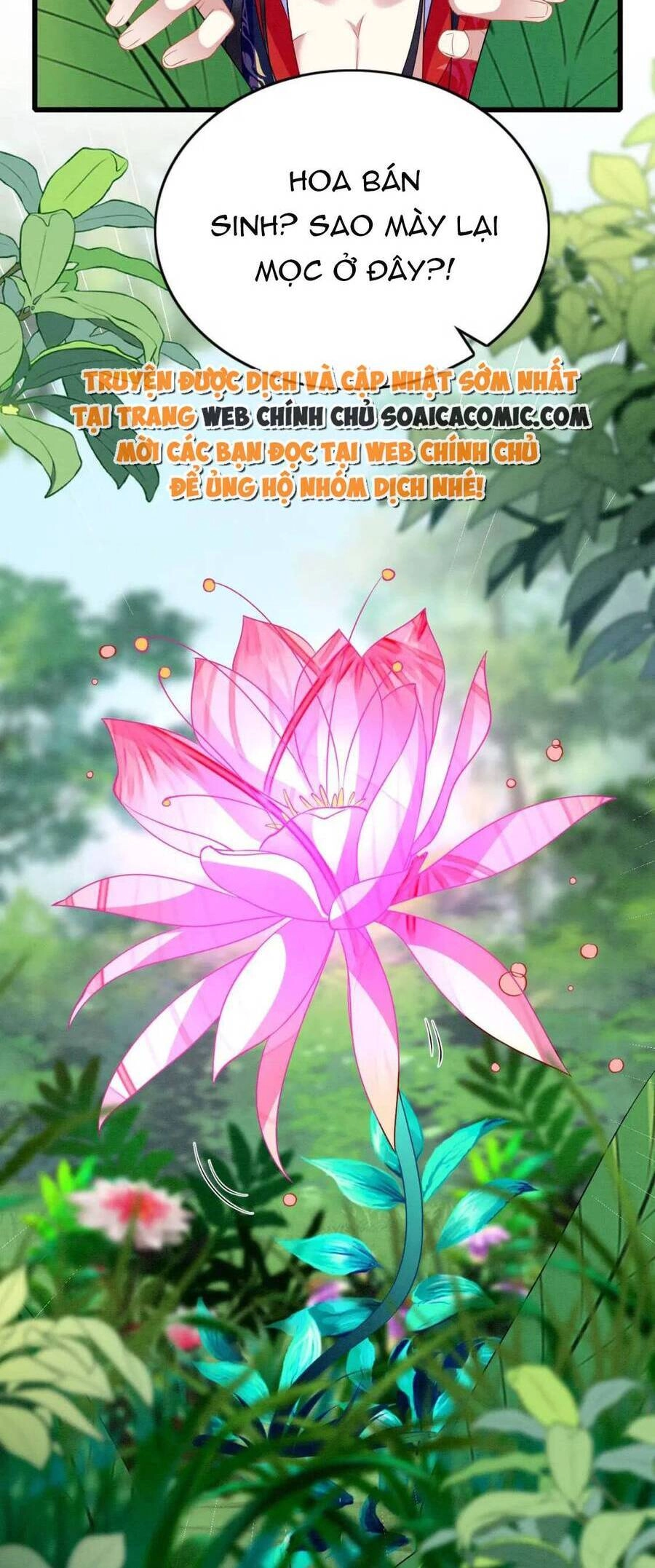 Được Chồng Rắn Siêu Sủng Khi Xuyên Qua Thú Thế Chapter 96 - 17