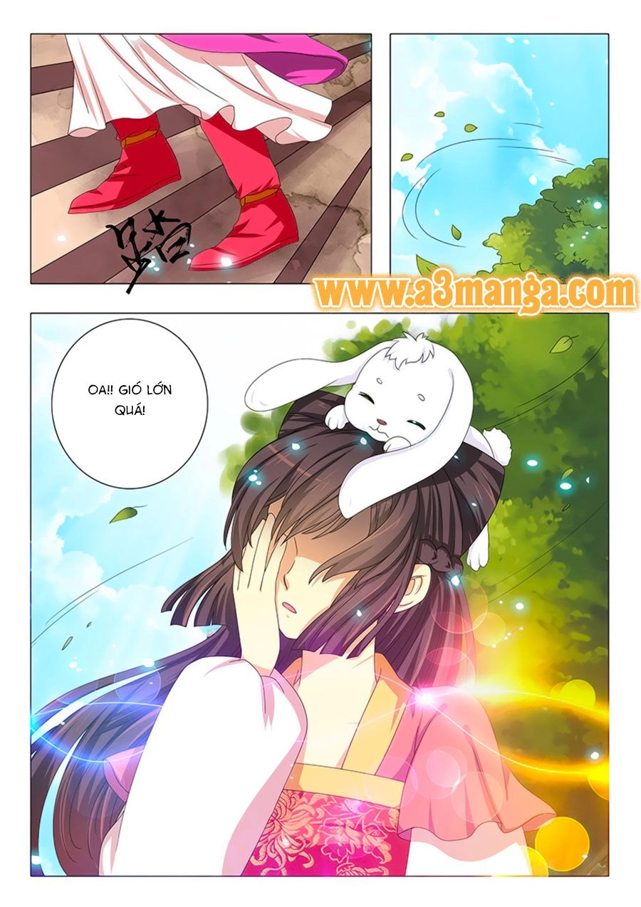 Đống Phù Đã Khai Quang Chapter 15 - 4