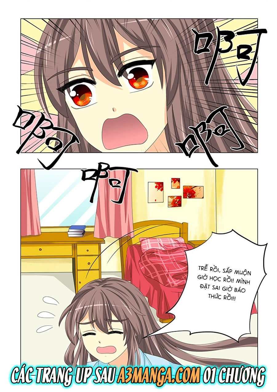 Đống Phù Đã Khai Quang Chapter 30 - 14