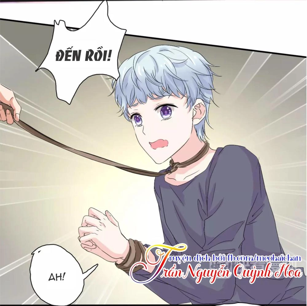 Lấy Sắc Tấn Công Sắc Chapter 5 - 20