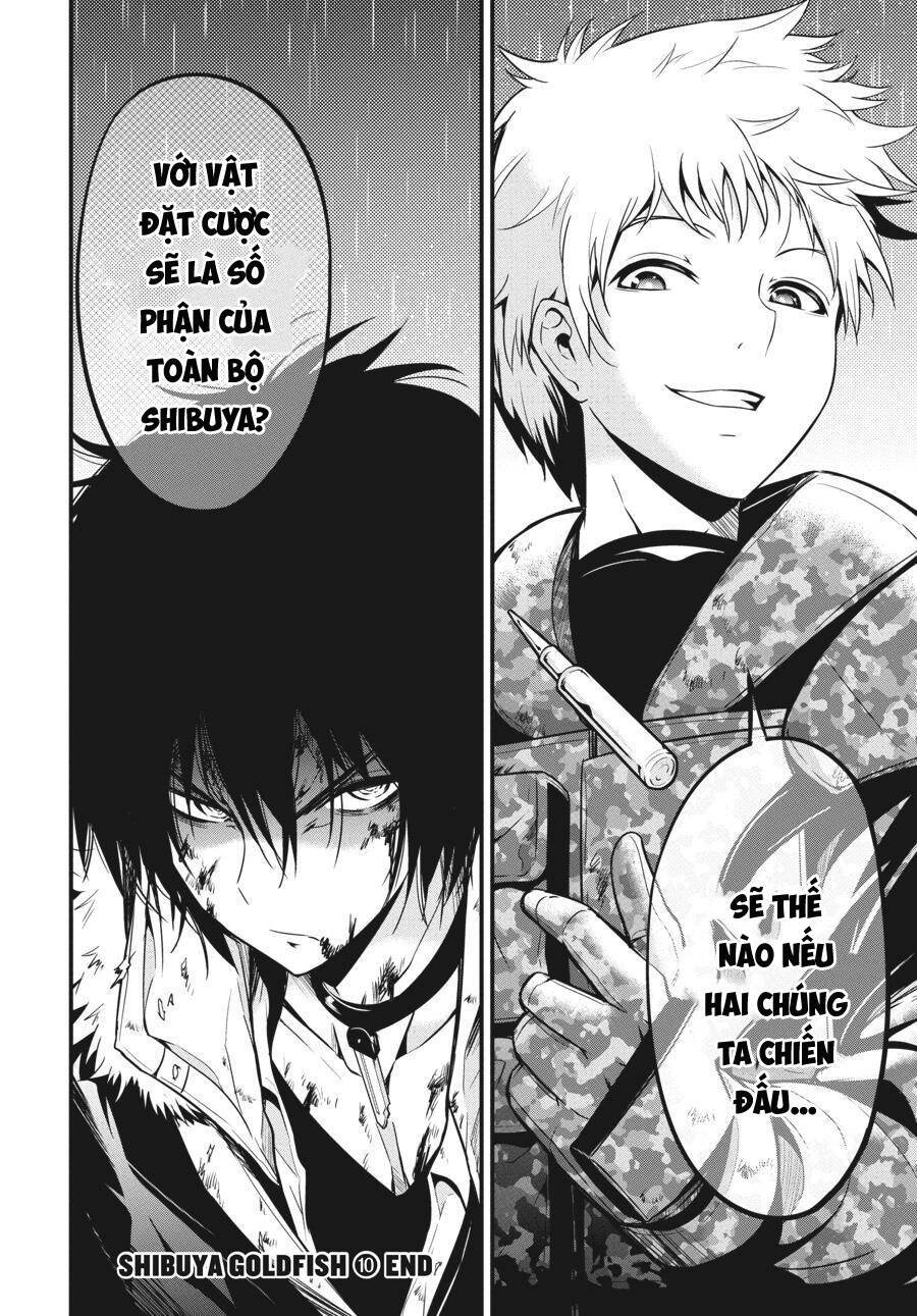 Shibuya Kingyo Chapter 41 - 42