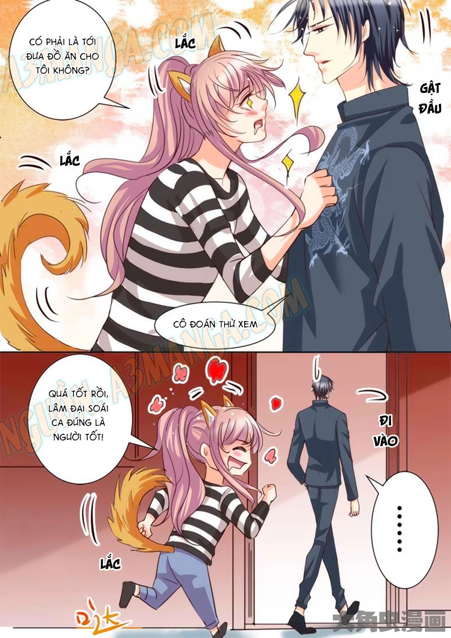 Bá Đạo Tổng Tài Yêu Ta Chapter 24 - 7