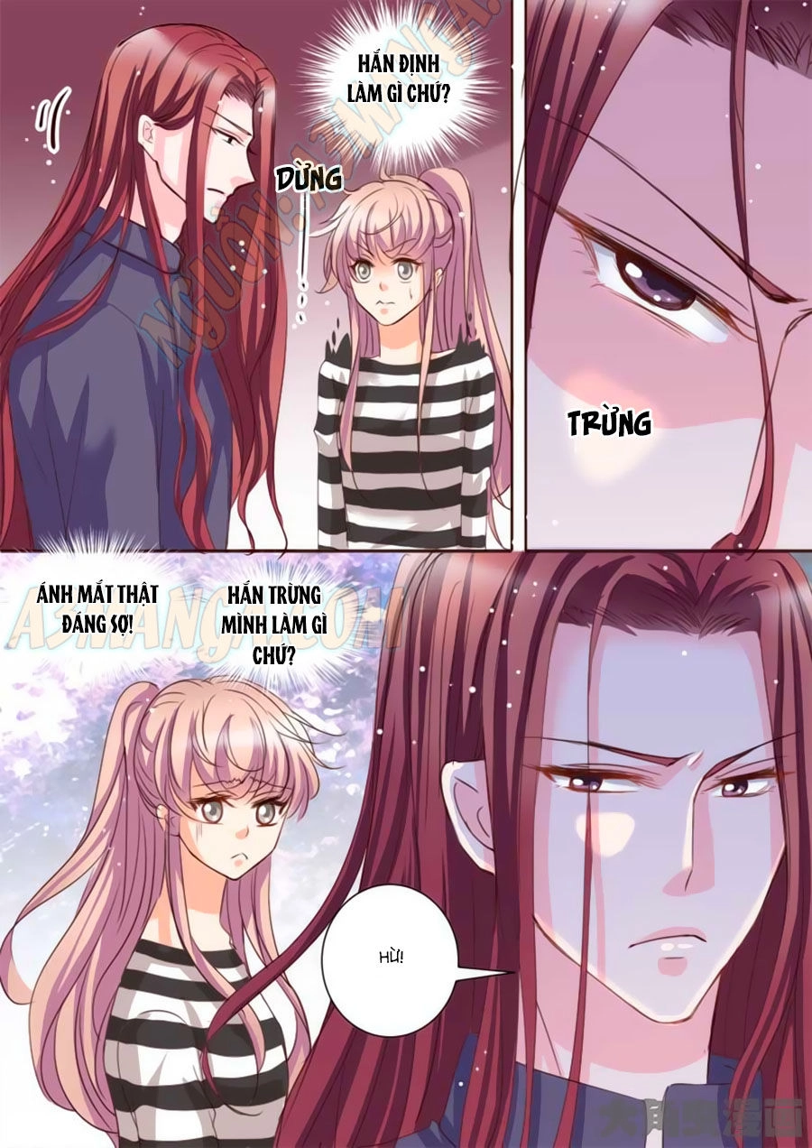 Bá Đạo Tổng Tài Yêu Ta Chapter 26 - 5