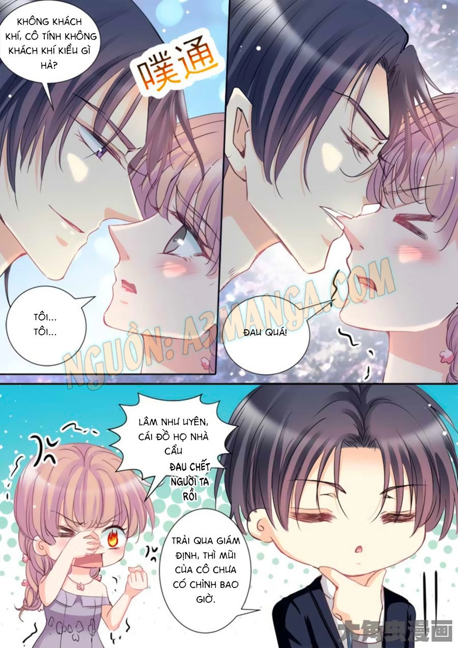 Bá Đạo Tổng Tài Yêu Ta Chapter 33 - 6