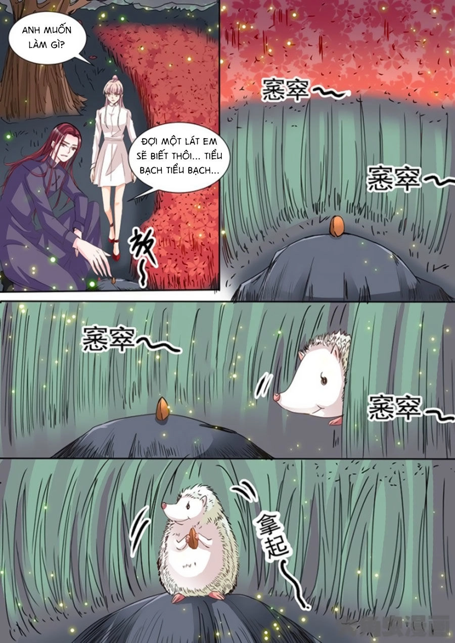 Bá Đạo Tổng Tài Yêu Ta Chapter 56 - 5