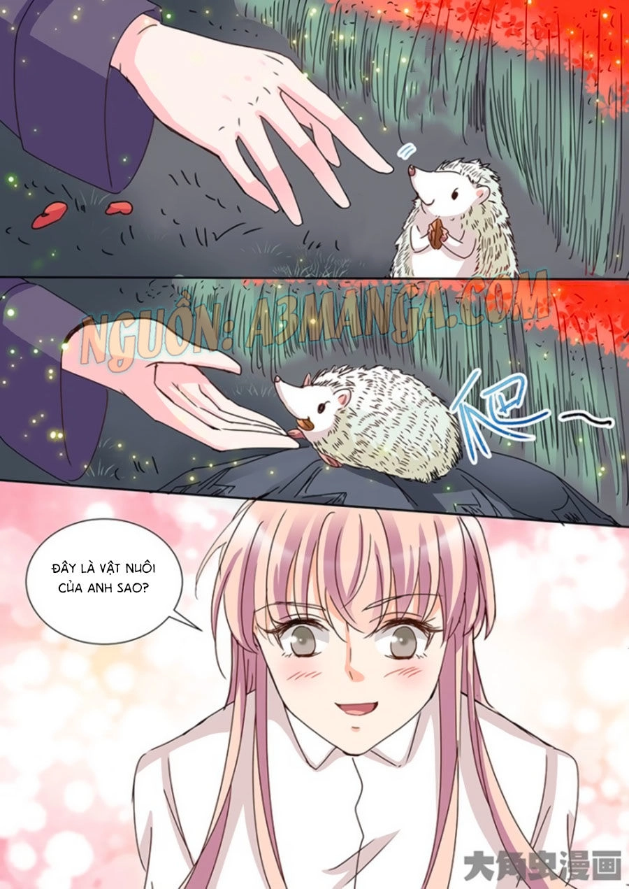 Bá Đạo Tổng Tài Yêu Ta Chapter 56 - 6