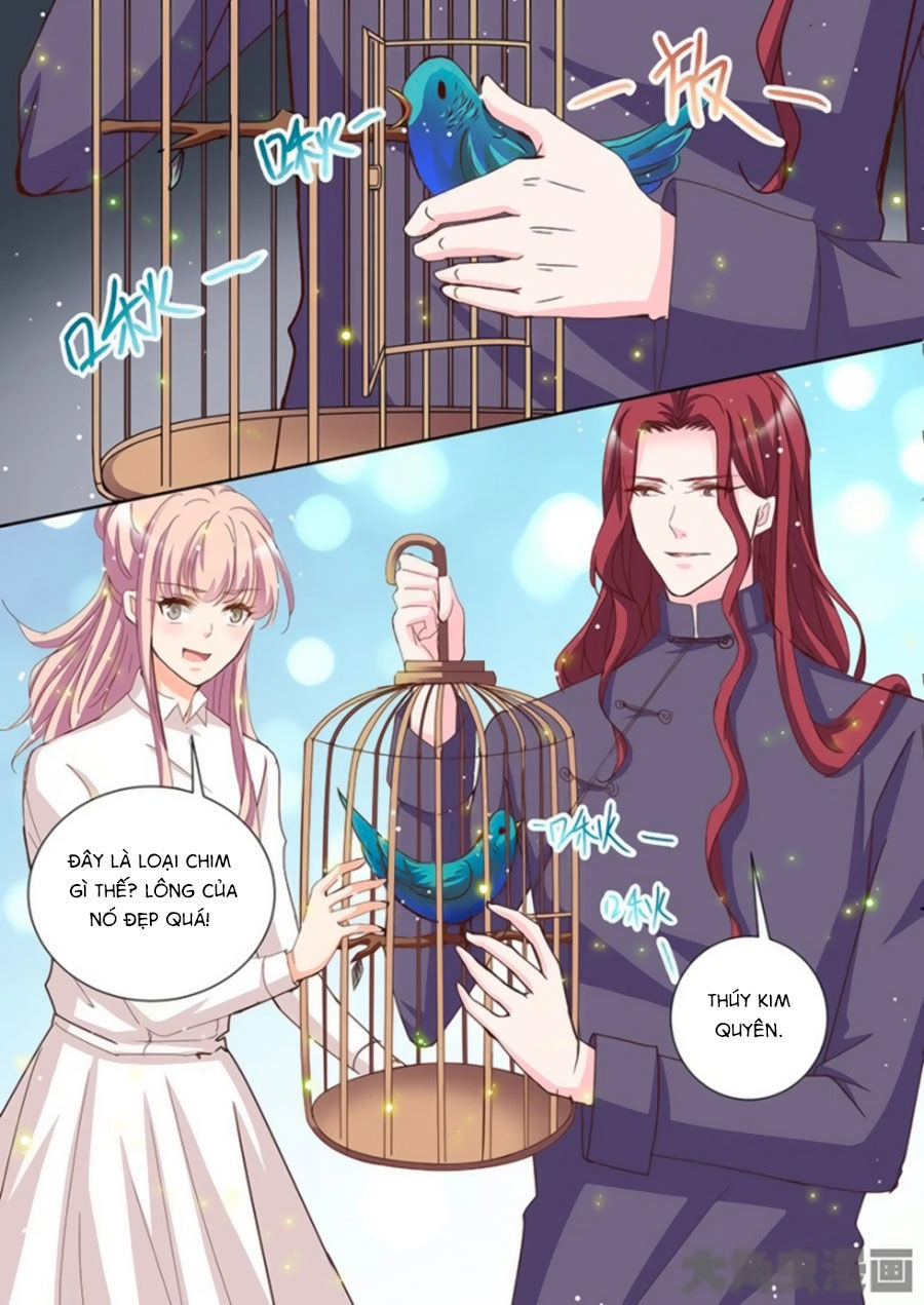 Bá Đạo Tổng Tài Yêu Ta Chapter 57 - 1