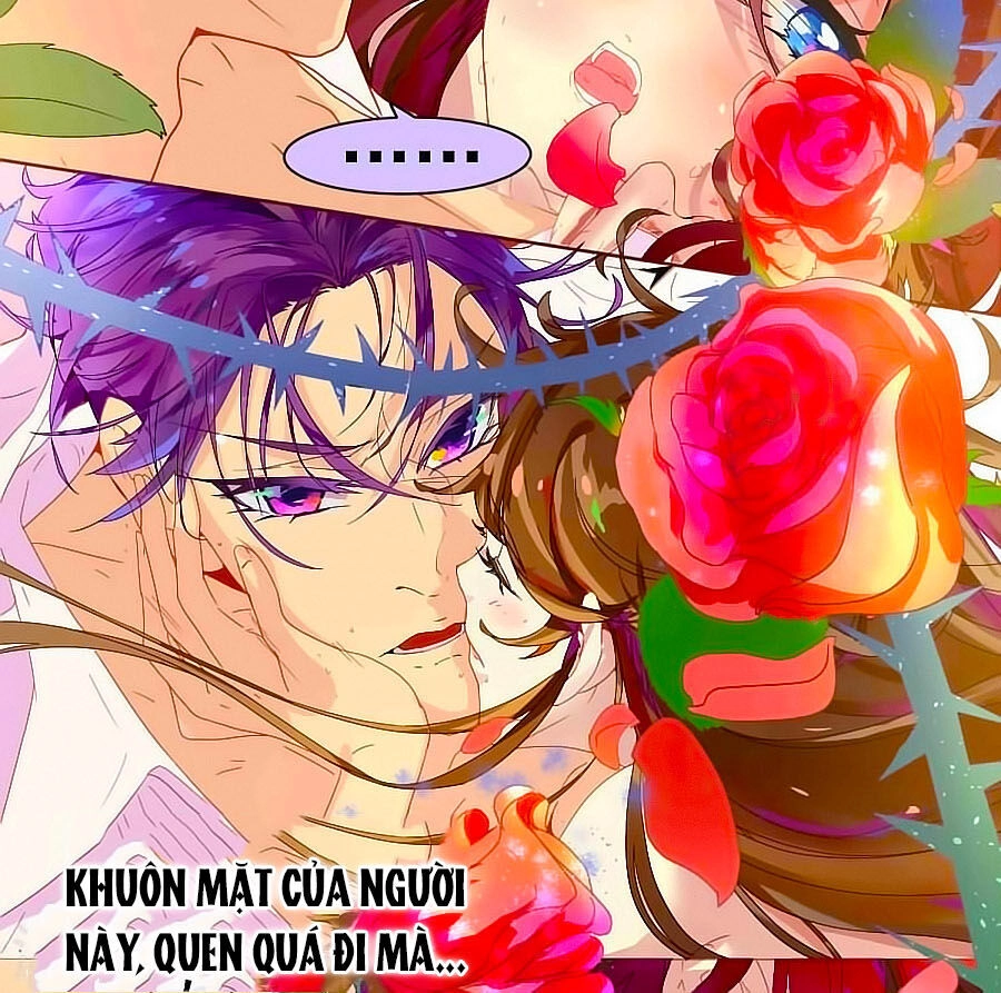 Thuần Tình Tổng Tài Sủng Kiều Thê Chapter 1 - 9