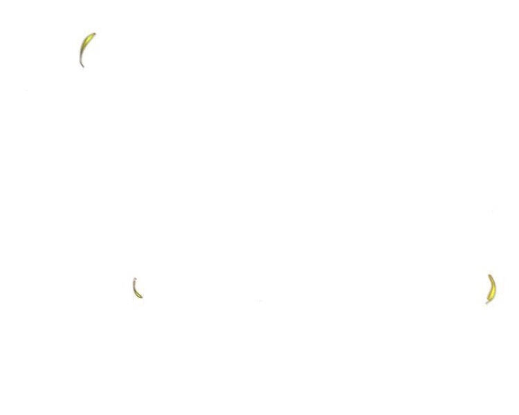 Cuồng Ma Tái Thế Chapter 27 - 227