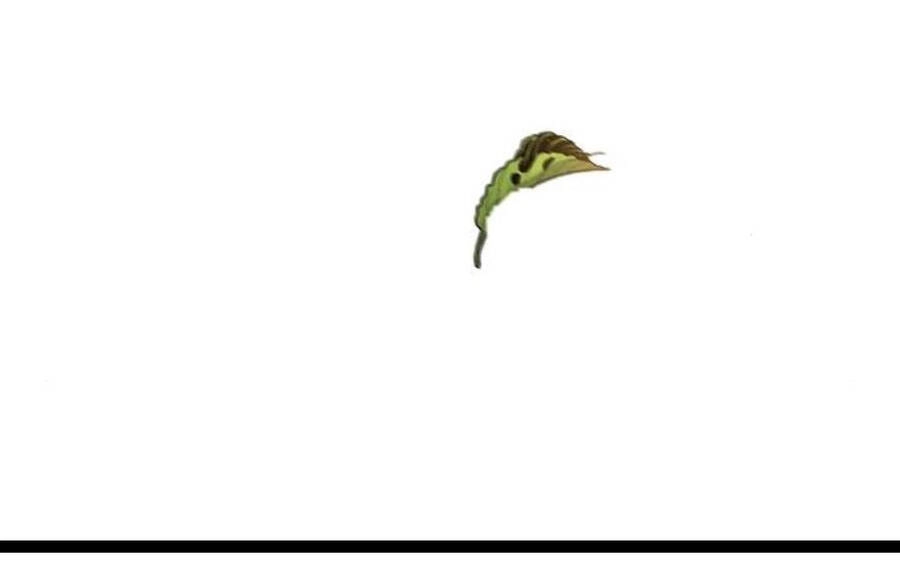 Cuồng Ma Tái Thế Chapter 28 - 91