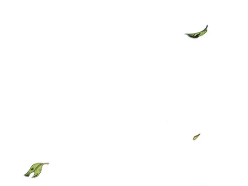 Cuồng Ma Tái Thế Chapter 29 - 117