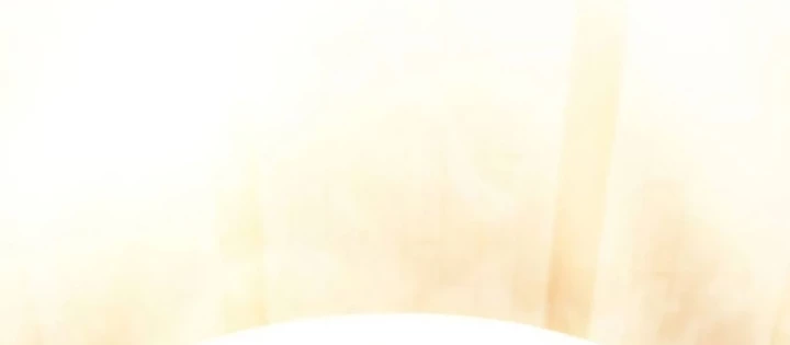 Người Chơi Mới Cấp Tối Đa Chapter 233 - 212