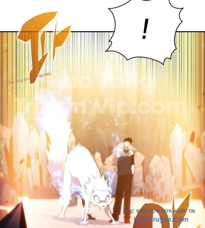 Người Chơi Mới Cấp Tối Đa Chapter 226 - 42