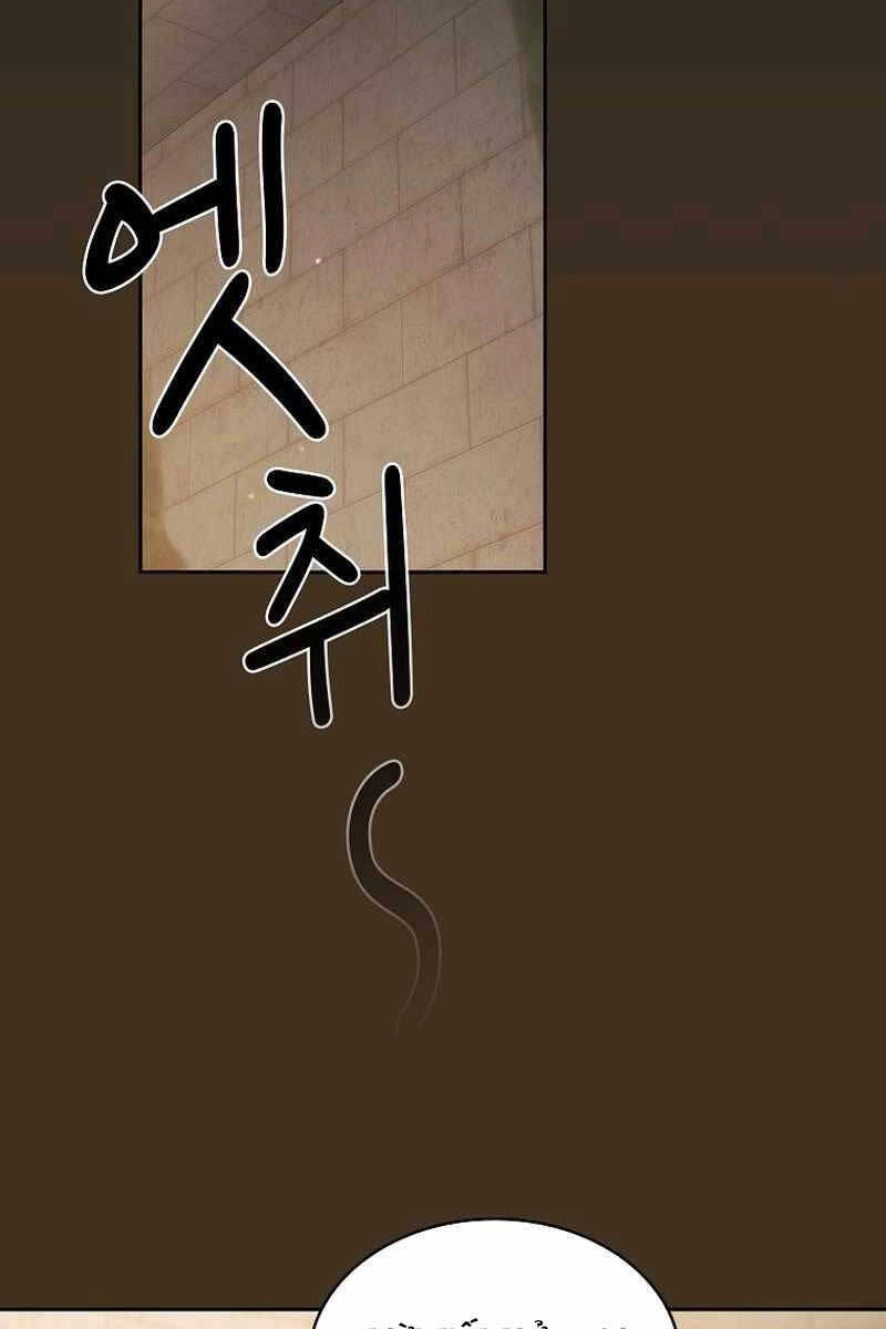 Có Thật Đây Là Anh Hùng Không? Chapter 96 - 94