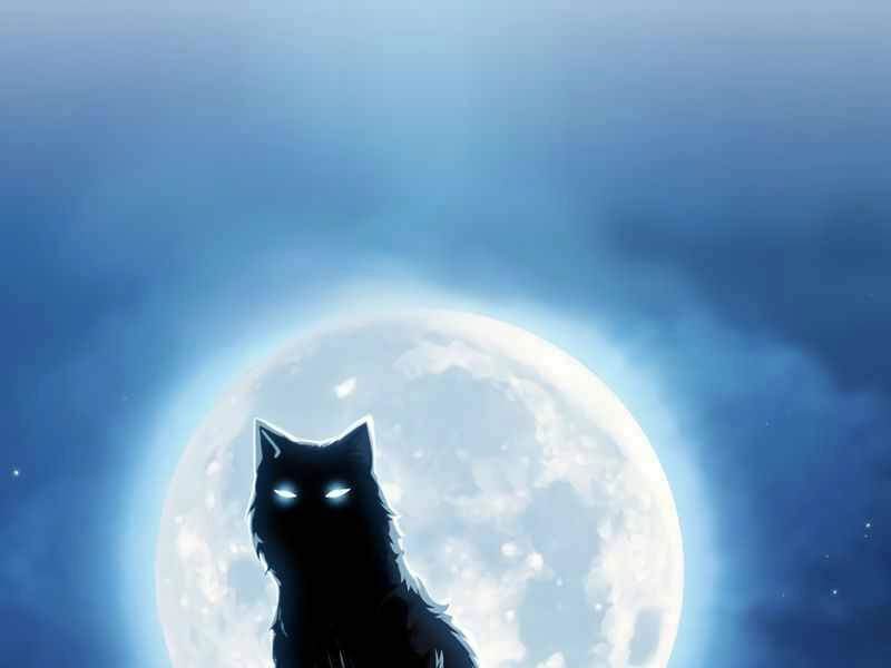 Có Thật Đây Là Anh Hùng Không? Chapter 3 - 59