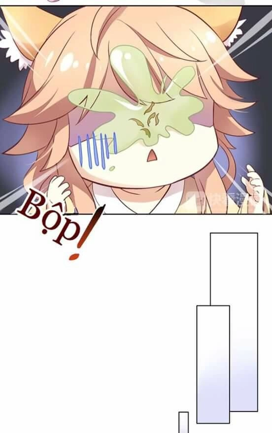 Dưới Móng Vuốt Mèo Chapter 2 - 17