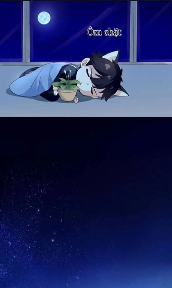 Dưới Móng Vuốt Mèo Chapter 2 - 32