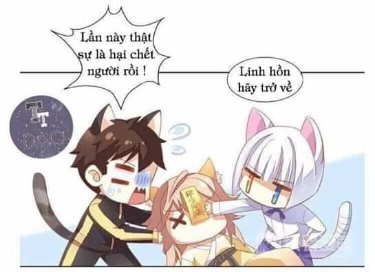 Dưới Móng Vuốt Mèo Chapter 3 - 24