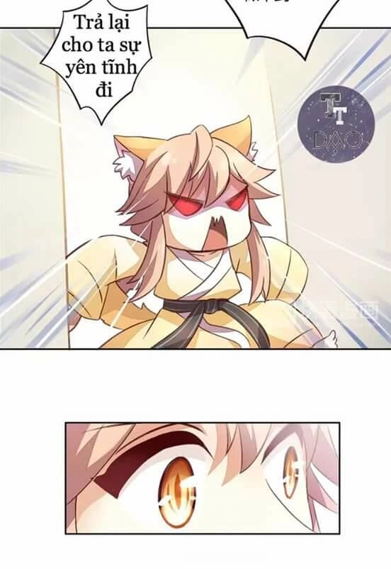 Dưới Móng Vuốt Mèo Chapter 5 - 6