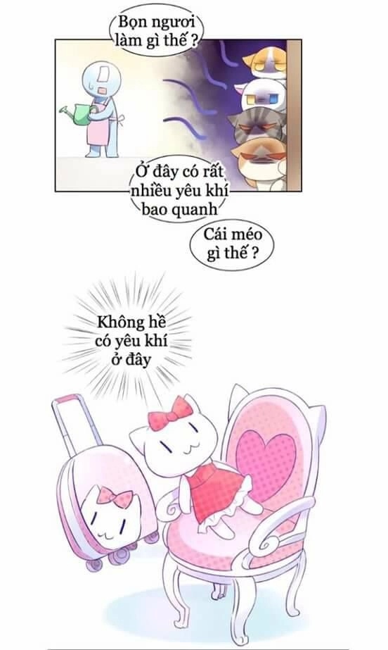 Dưới Móng Vuốt Mèo Chapter 5 - 8