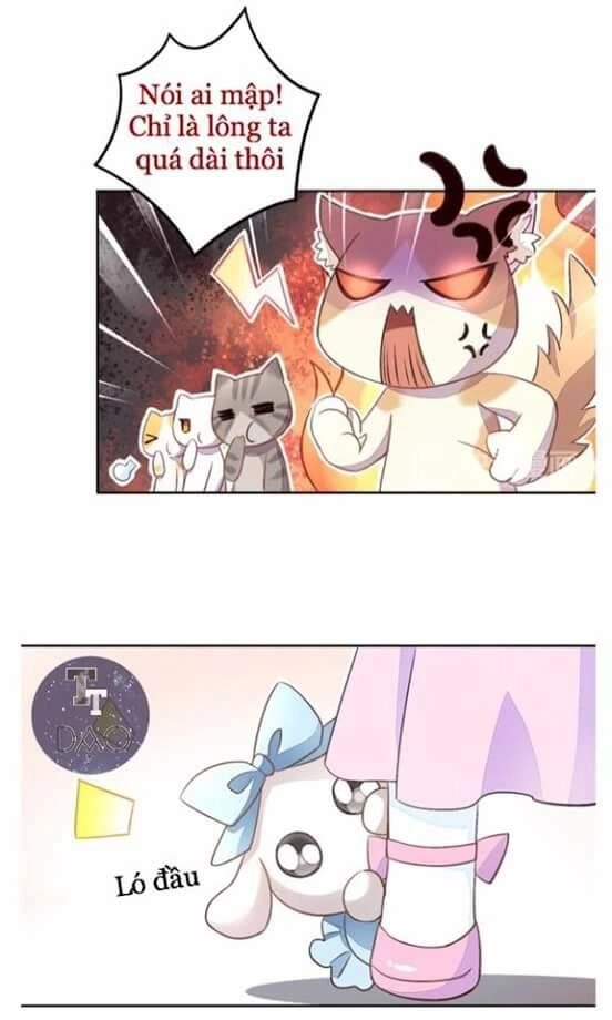 Dưới Móng Vuốt Mèo Chapter 5 - 13