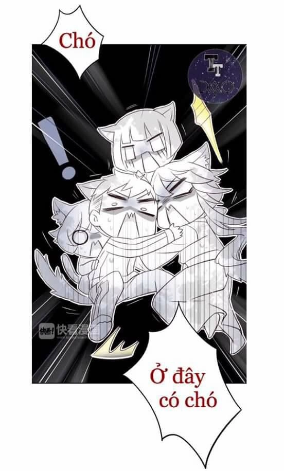 Dưới Móng Vuốt Mèo Chapter 5 - 14
