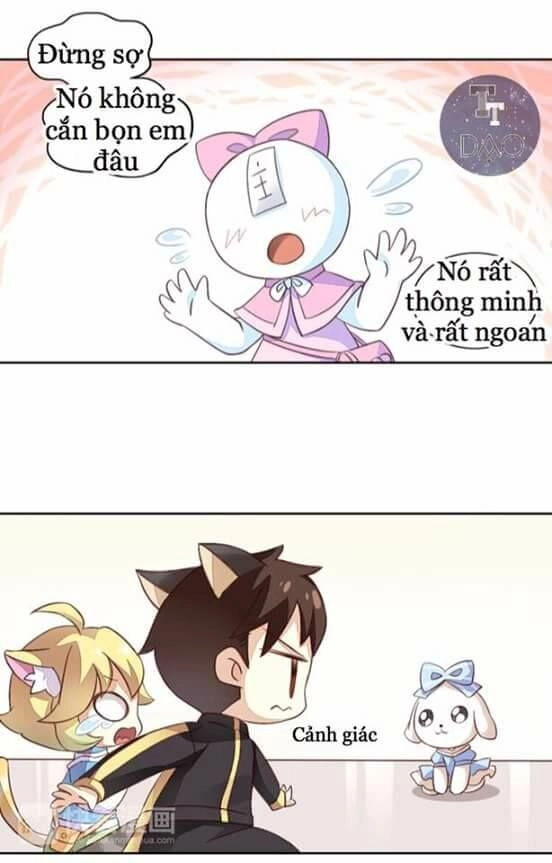 Dưới Móng Vuốt Mèo Chapter 5 - 15