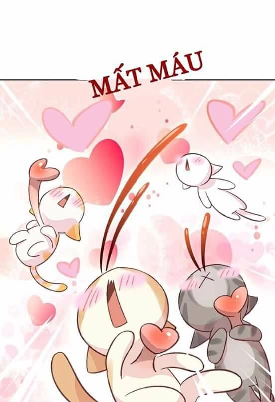 Dưới Móng Vuốt Mèo Chapter 5 - 17