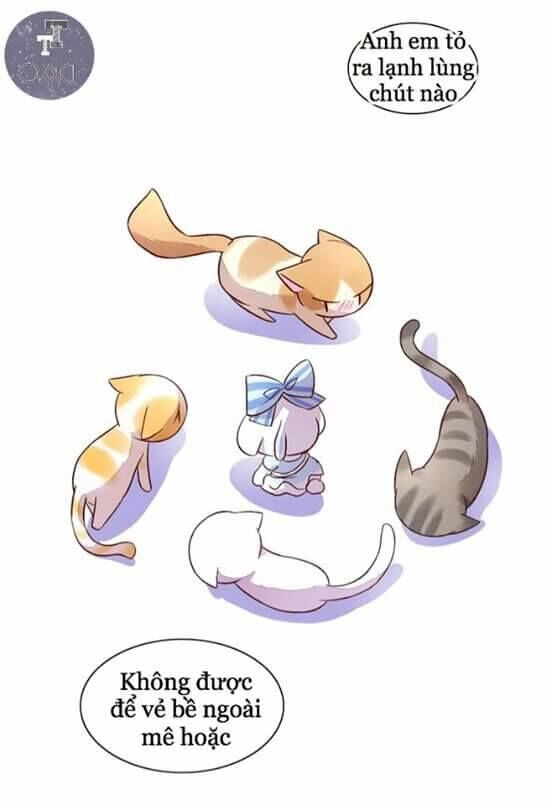 Dưới Móng Vuốt Mèo Chapter 5 - 19