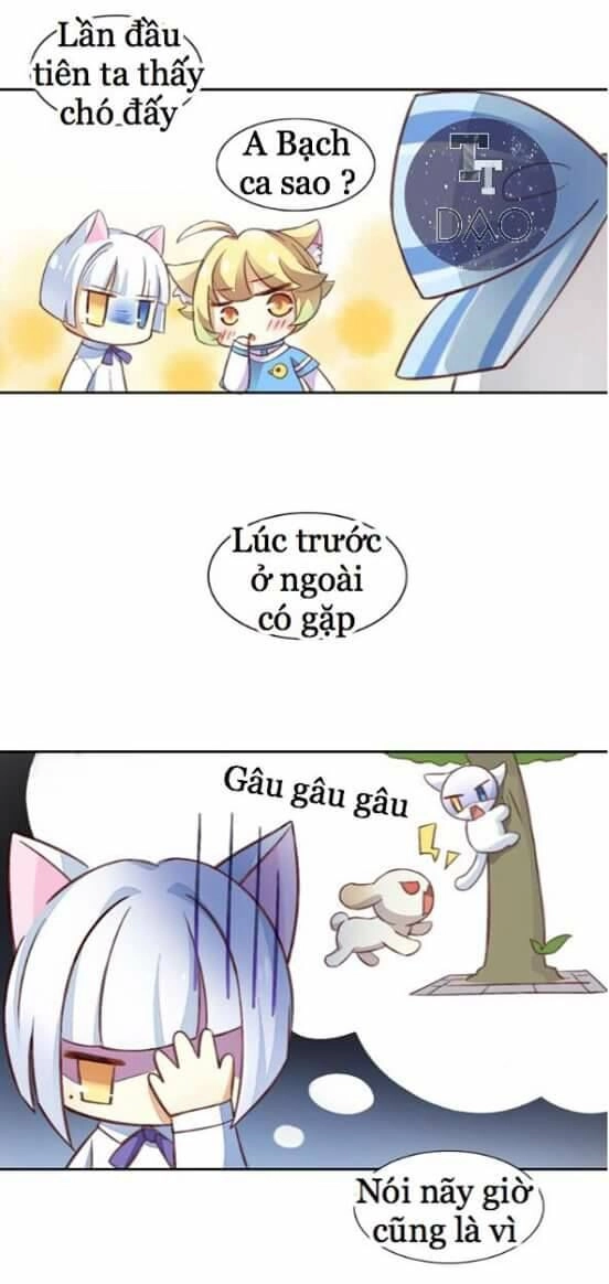 Dưới Móng Vuốt Mèo Chapter 5 - 20