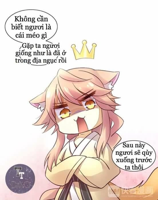 Dưới Móng Vuốt Mèo Chapter 5 - 22