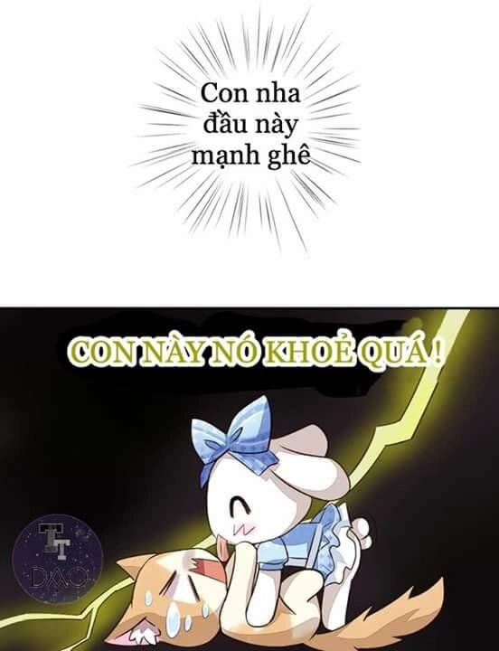 Dưới Móng Vuốt Mèo Chapter 5 - 30
