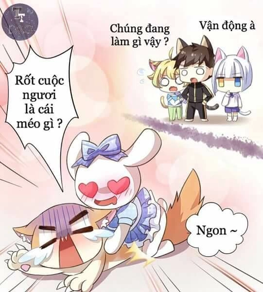 Dưới Móng Vuốt Mèo Chapter 5 - 32