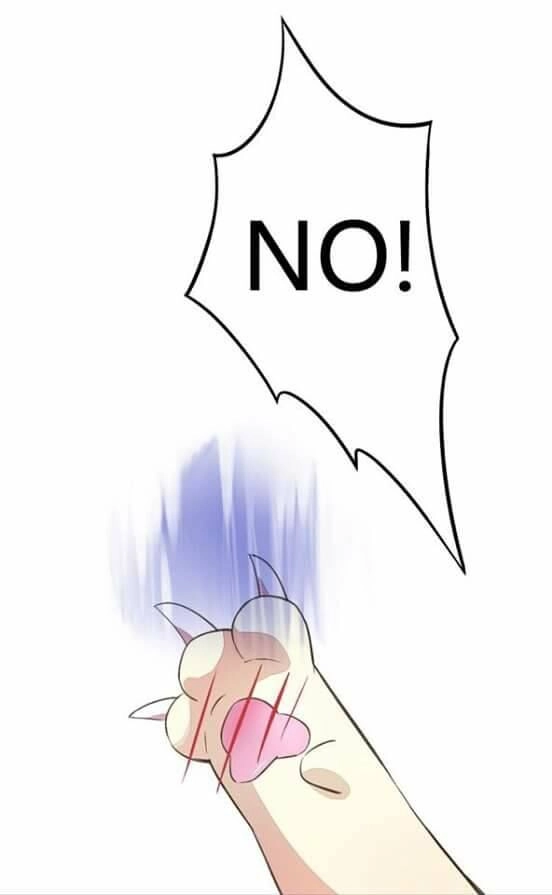 Dưới Móng Vuốt Mèo Chapter 5 - 33