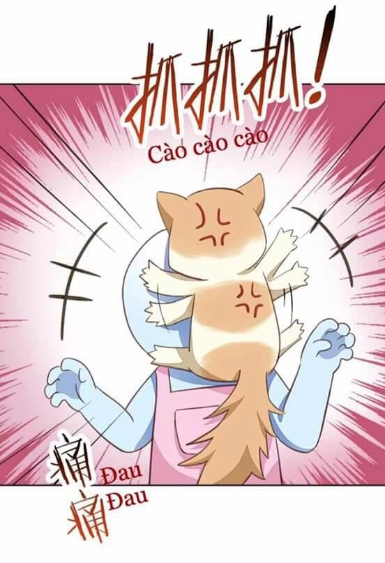Dưới Móng Vuốt Mèo Chapter 5 - 39