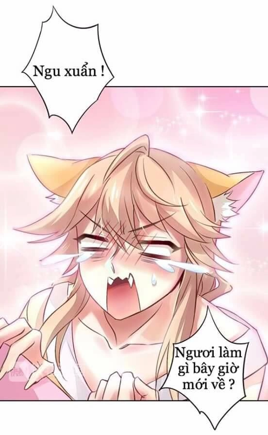 Dưới Móng Vuốt Mèo Chapter 5 - 40
