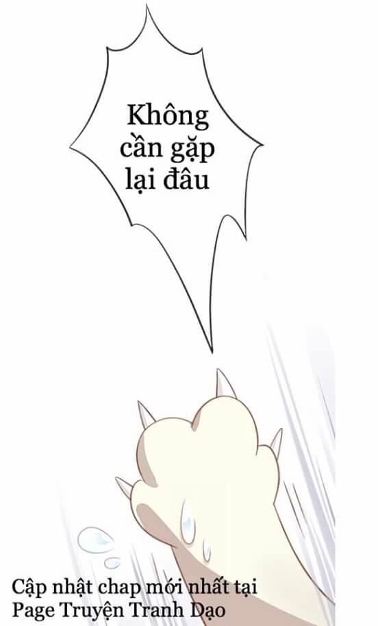 Dưới Móng Vuốt Mèo Chapter 5 - 49