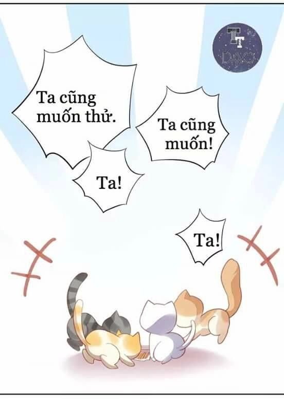Dưới Móng Vuốt Mèo Chapter 6 - 48