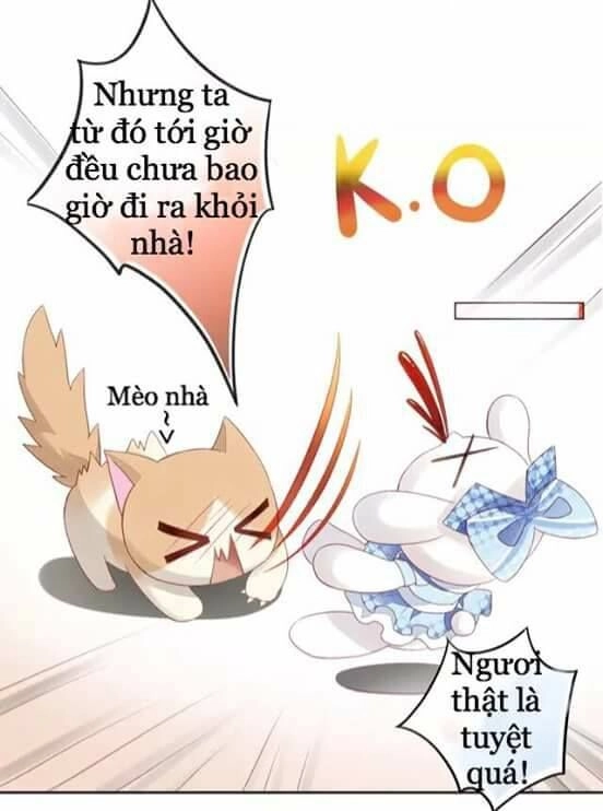 Dưới Móng Vuốt Mèo Chapter 7 - 21