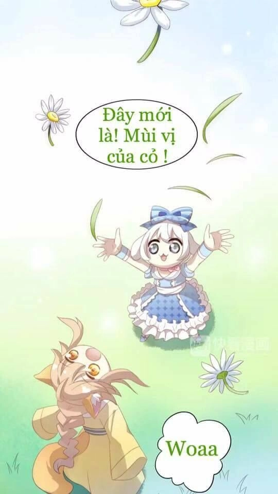 Dưới Móng Vuốt Mèo Chapter 7 - 41