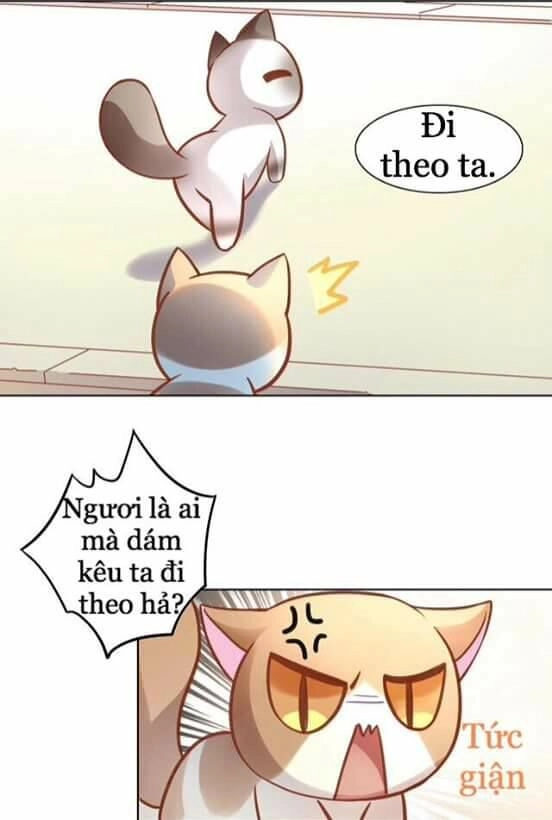 Dưới Móng Vuốt Mèo Chapter 8 - 14